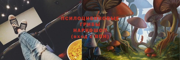 шишки Аркадак