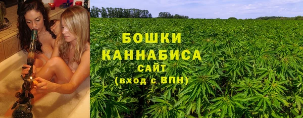 крисы Арсеньев